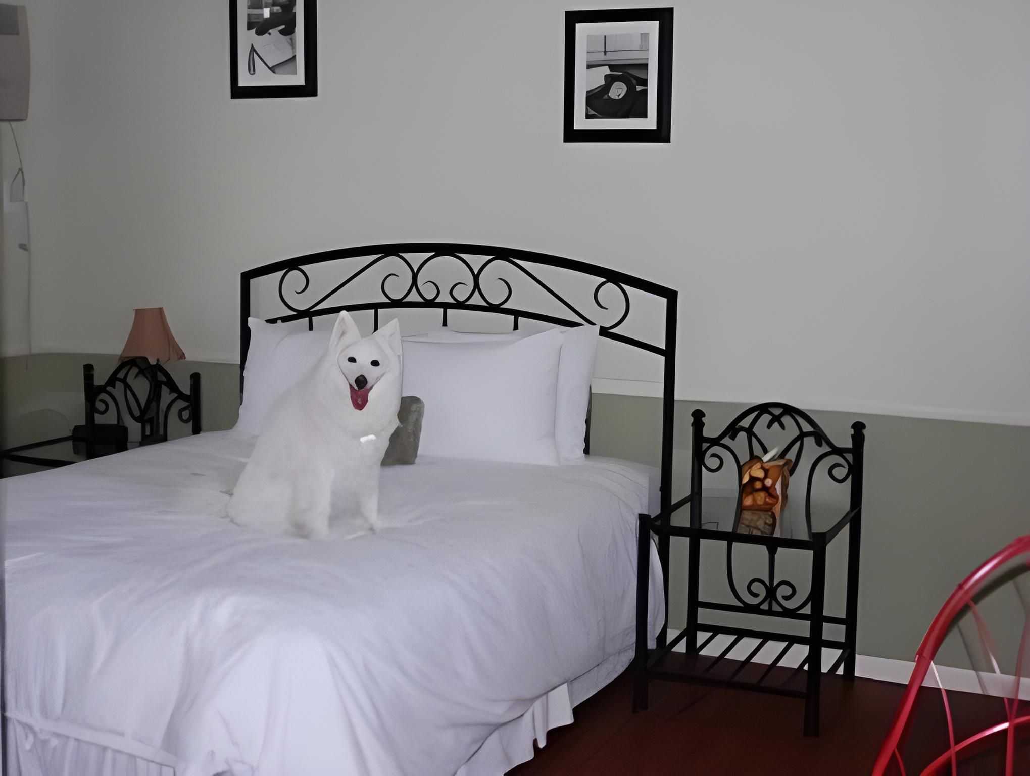 Queen Room with Kitchen