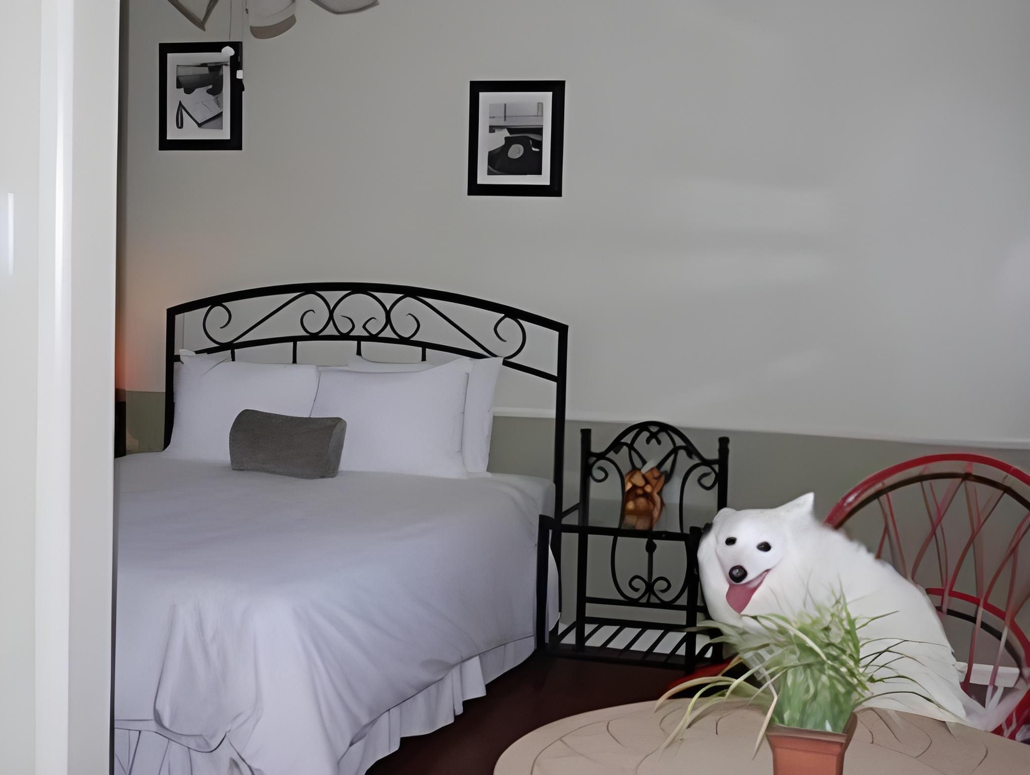 Queen Room with Kitchen