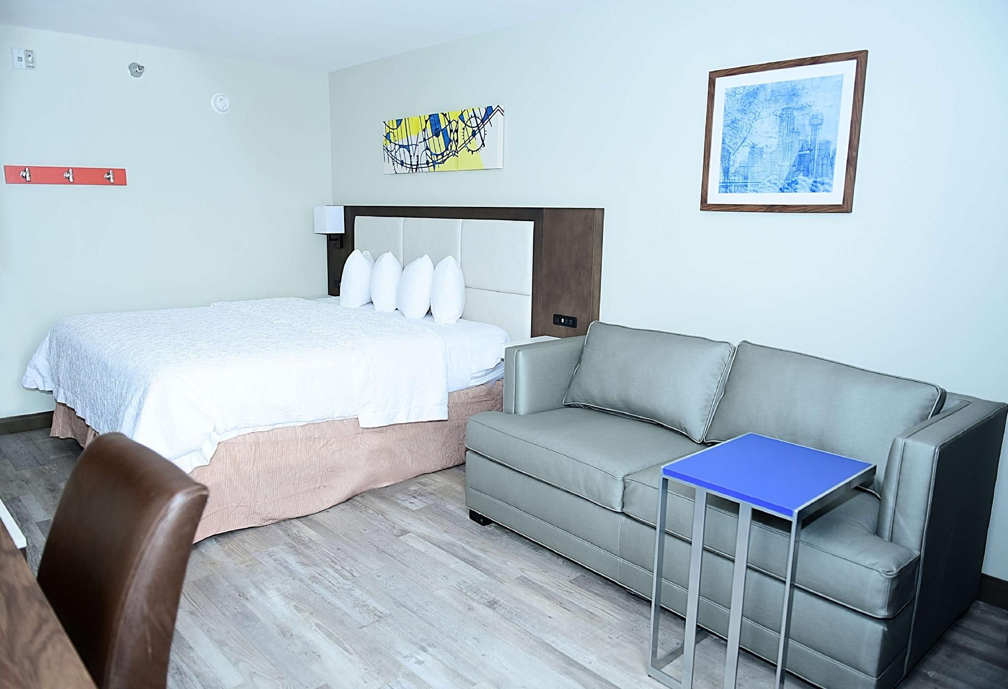Accessible - 1 King, Non-Smoking, Deluxe Room, Sofabed, Walk In Shower