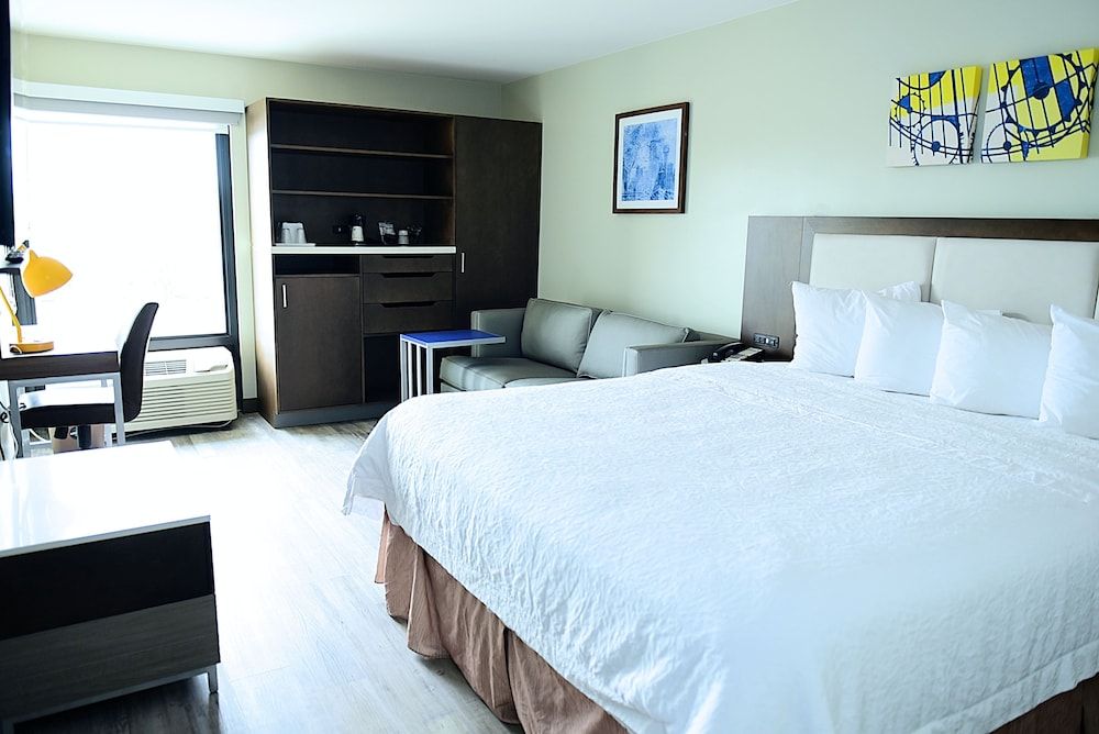 Deluxe Room, 1 King Bed, Non Smoking (Walk-in Shower;with Sofabed)