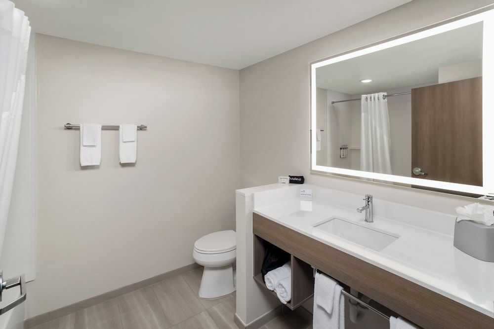 Holiday Inn Express Hattiesburg West Univ Area by IHG Suite, 1 King Bed (Bath Shower Combination) 2