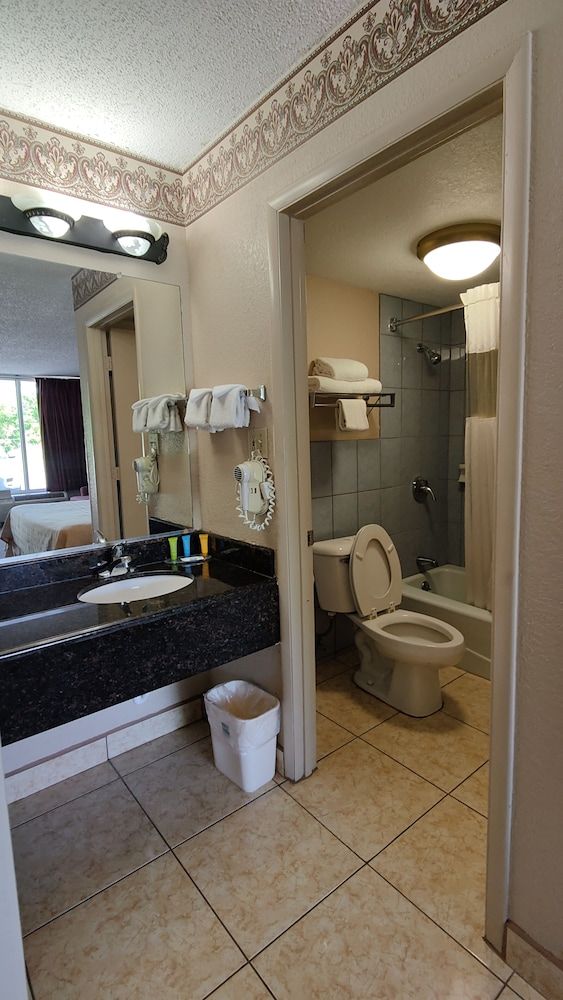 Countryside Inn & Suites Standard Room, 1 King Bed, Non Smoking 6