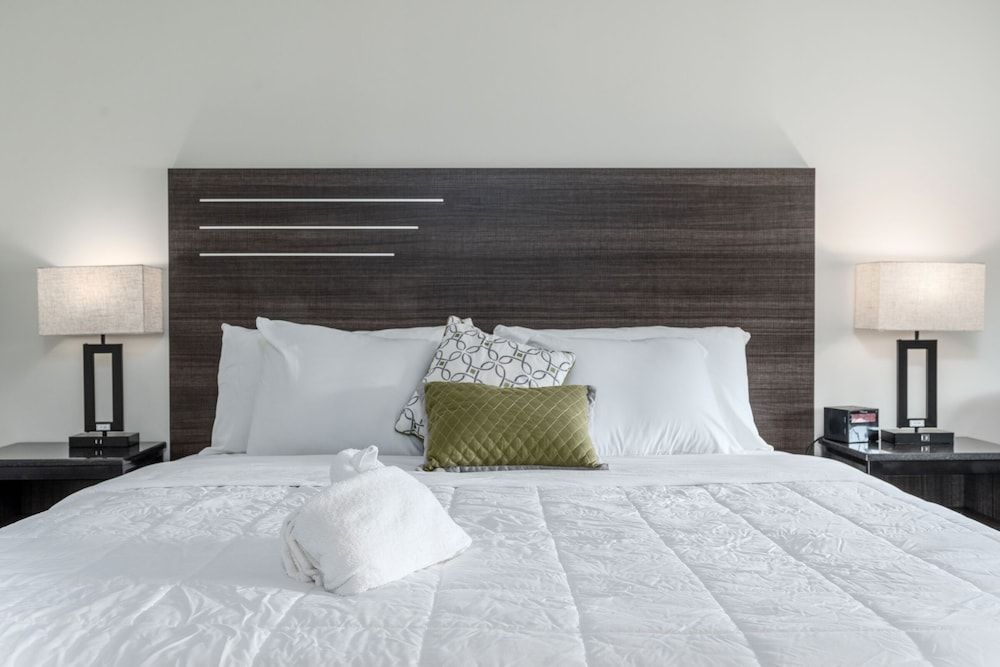 Crewe Boutique Inn Elite Single Room 2