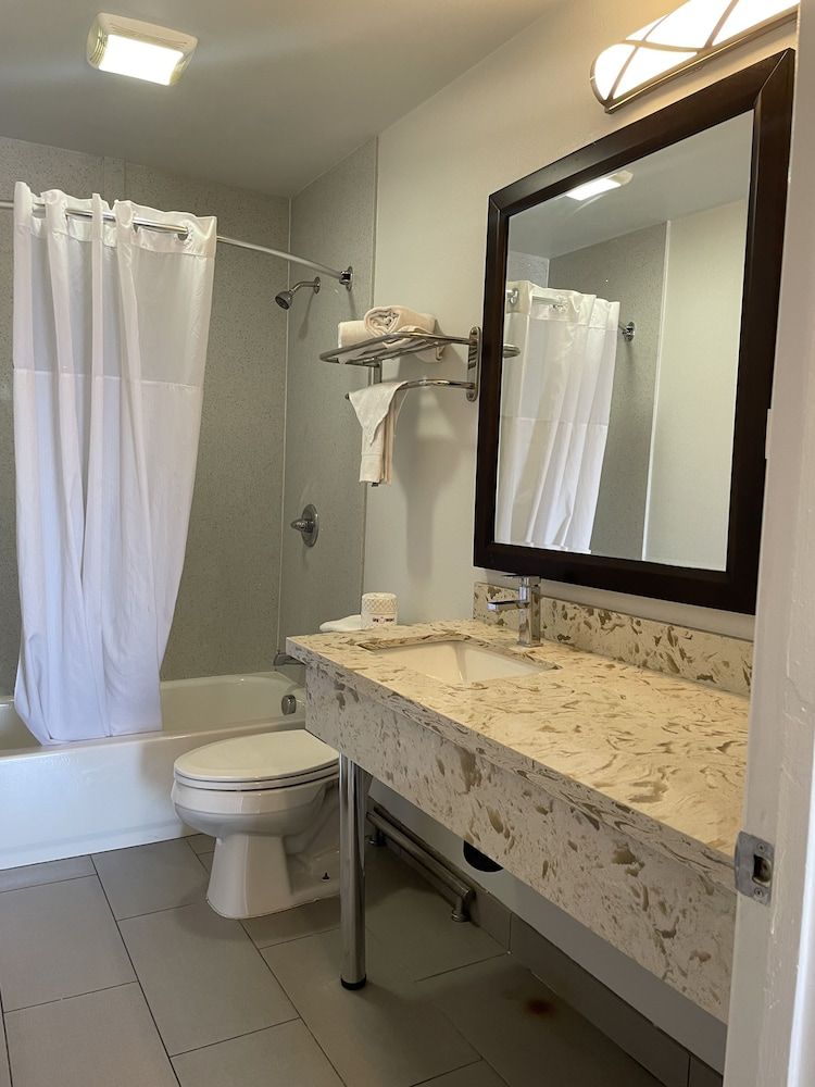 Motel 6 Yuba City, CA Deluxe Room, 1 King Bed, Non Smoking 4