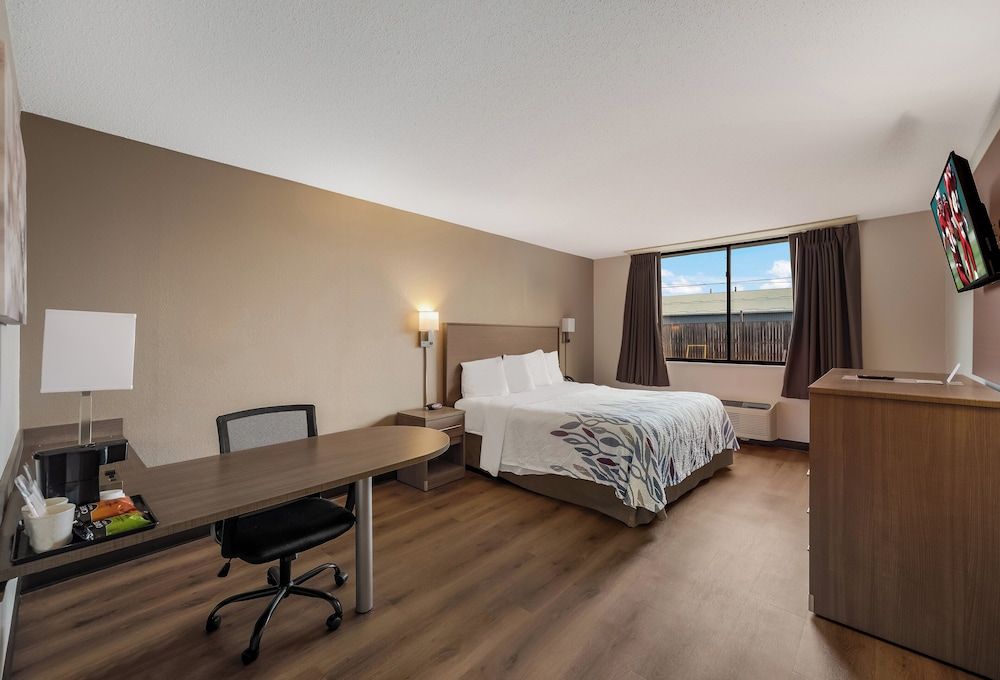 Superior Room, 1 King Bed, Non Smoking