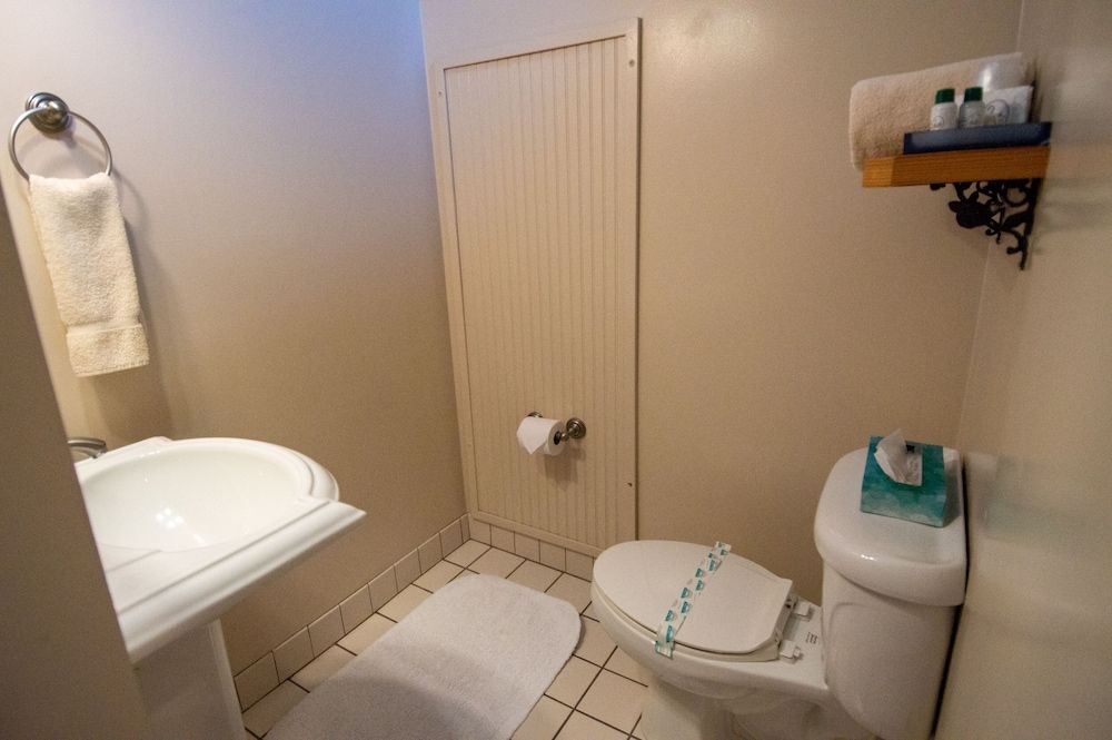 The Swan Hotel Cabin, Garden View 40