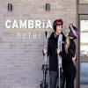 Cambria Hotel Copper Mountain