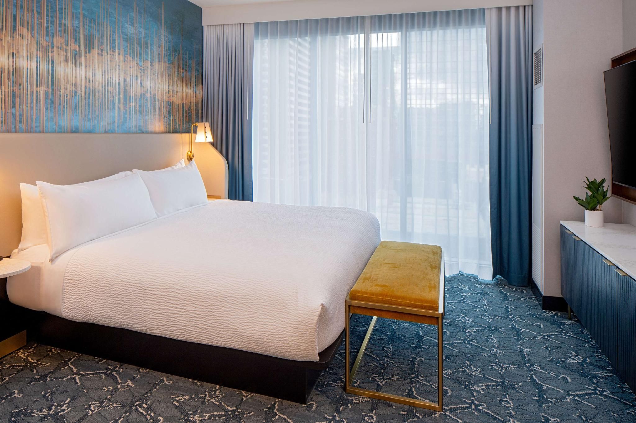 1 King Bed 1 Bedroom Suite