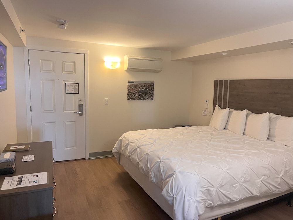 Premium Suite, 1 Bedroom, Kitchen