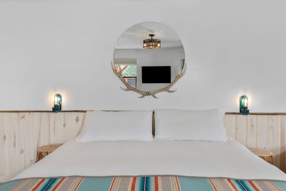 Hotel Palomino Patio King Room, Pet Friendly 3