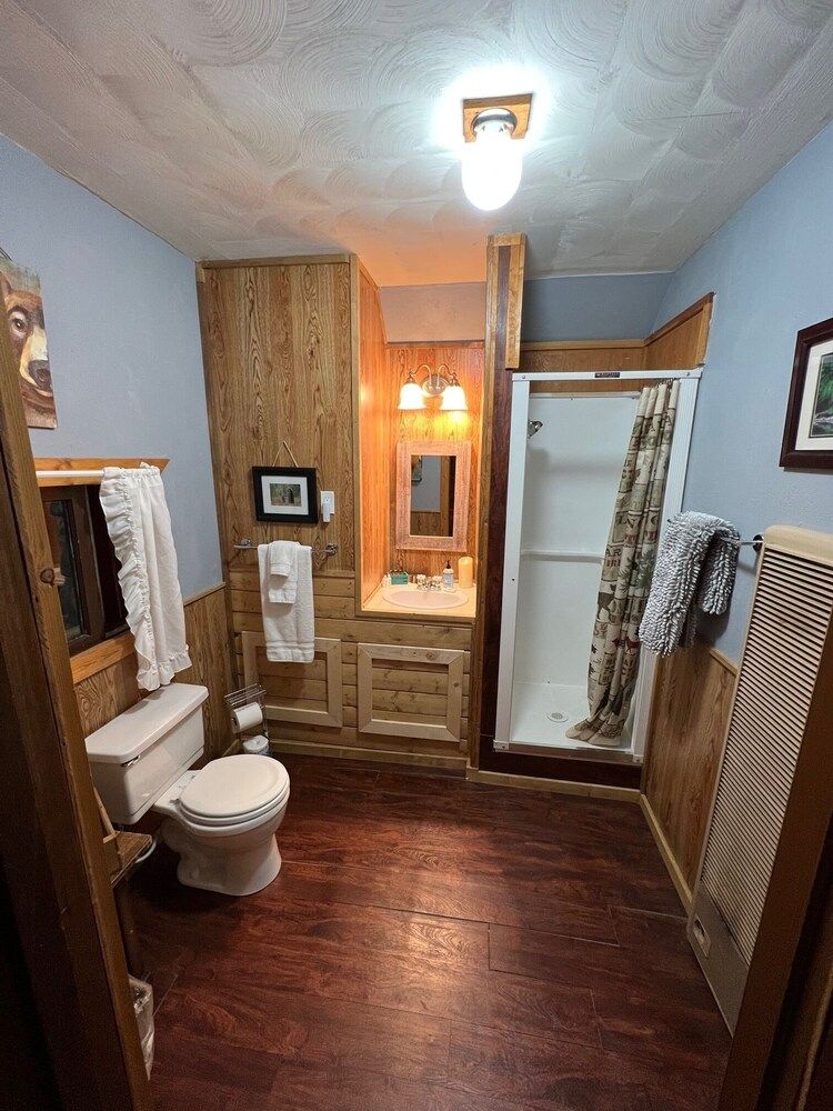 Premium Cabin