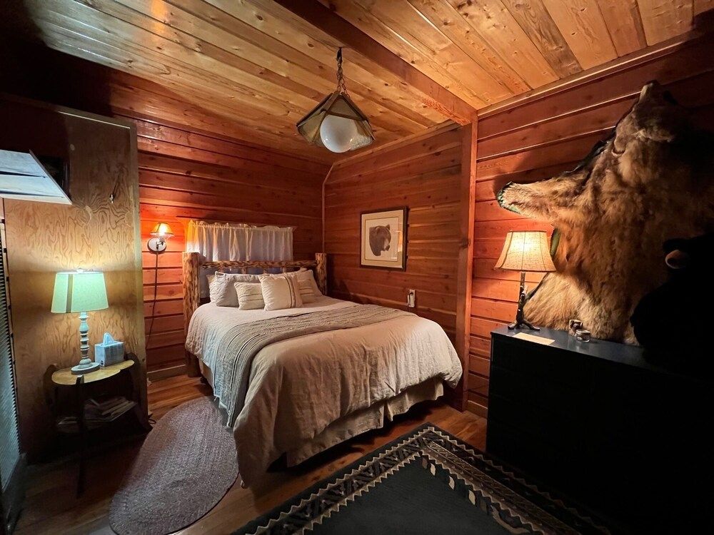 Premium Cabin