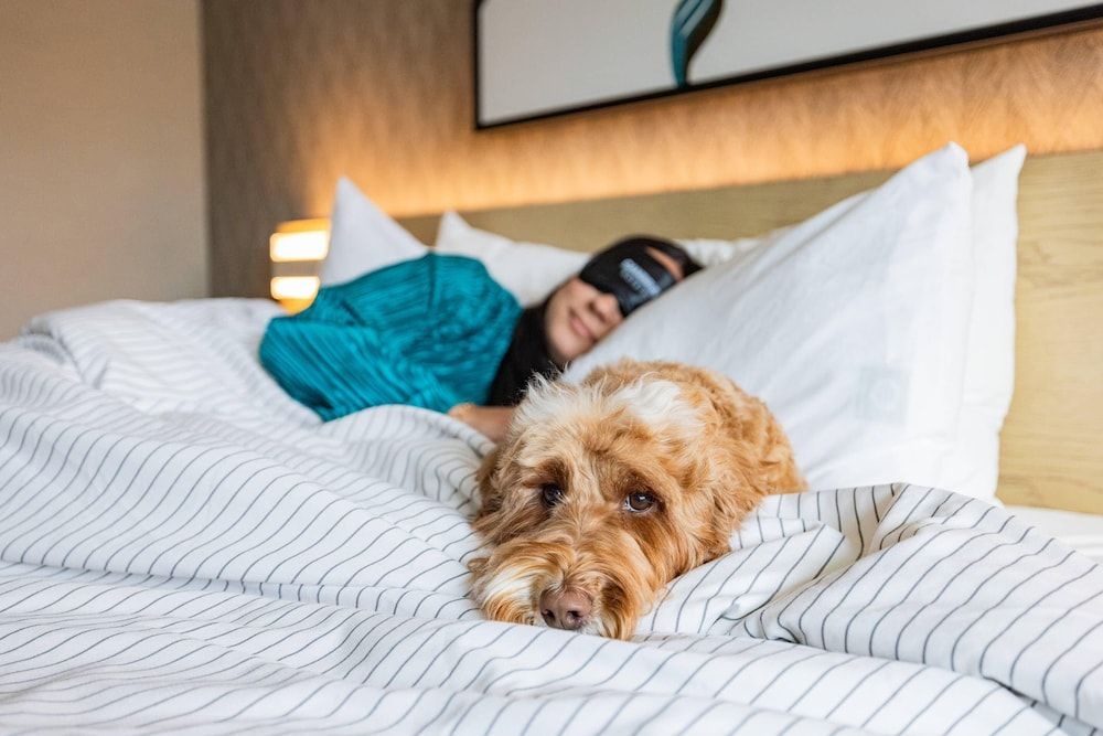 Cambria Hotel Burbank Airport Room, 2 Queen Beds, Non Smoking (Upgrade) 4