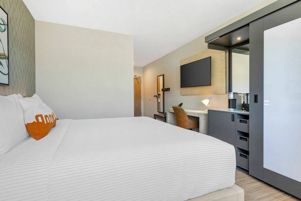 Room, 1 King Bed, Accessible, Non Smoking (Roll-In Shower)
