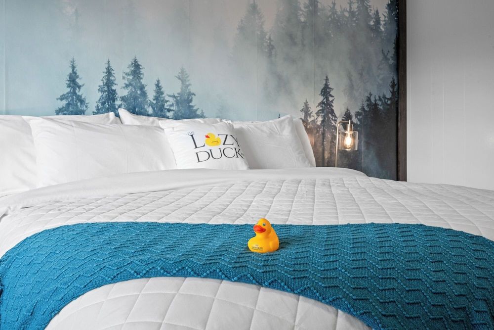 The Lazy Duck Inn Room # 28 4