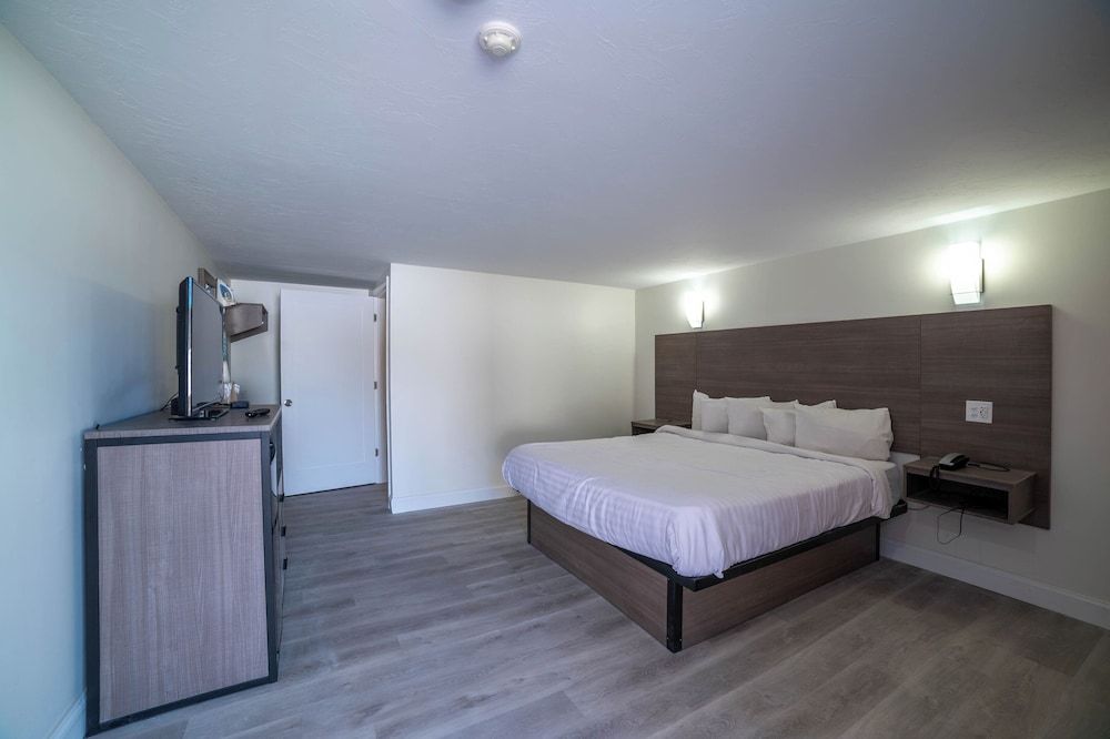 Viking Shores Motor Inn Room, 1 King Bed 4