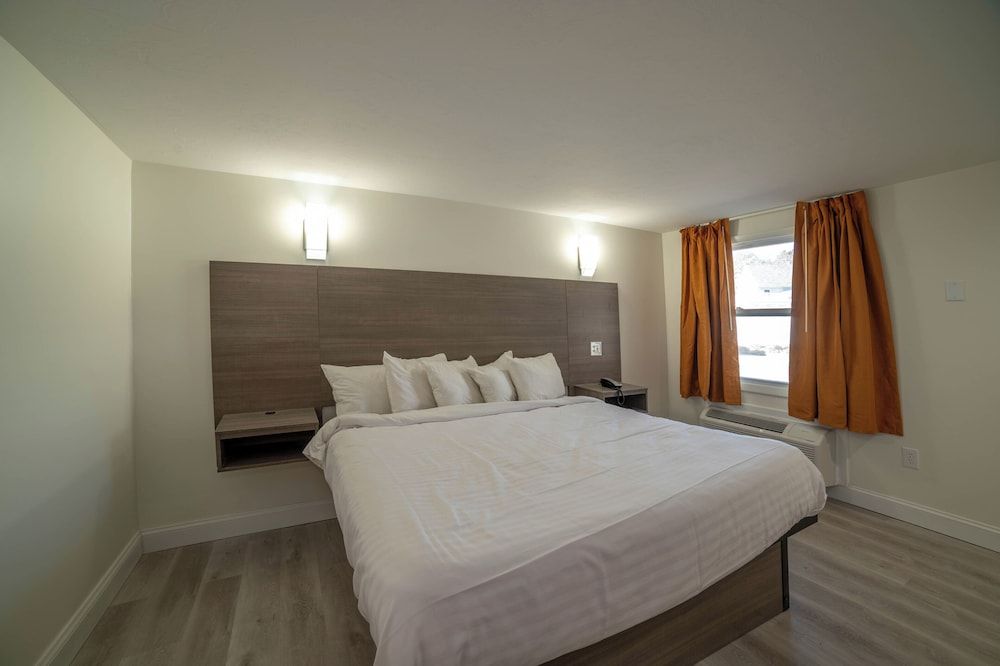 Viking Shores Motor Inn Room, 1 King Bed 3