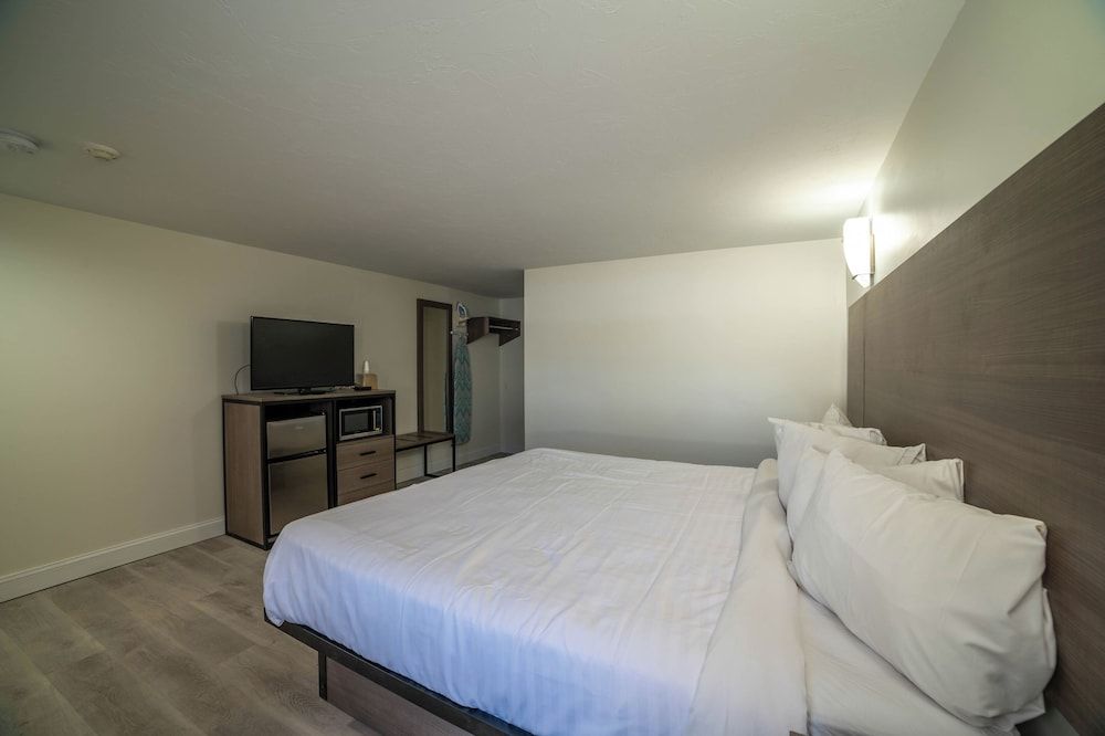 Viking Shores Motor Inn Room, 1 King Bed