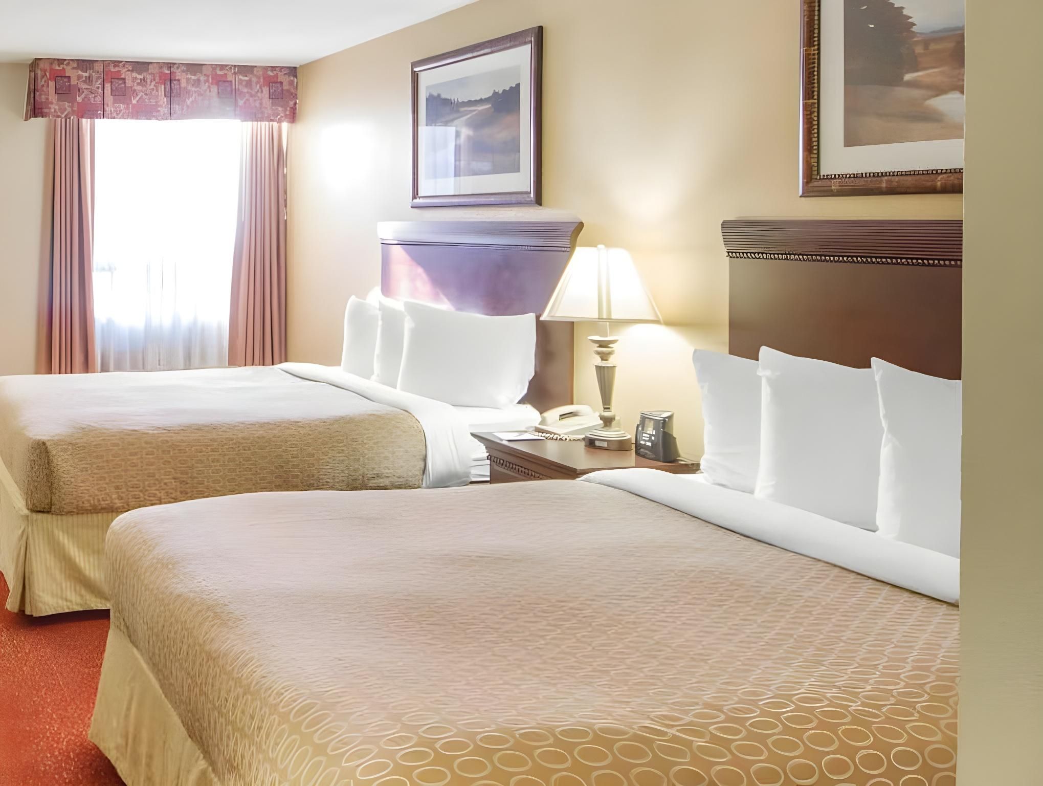 Queen Room with Two Queen Beds - Non-Smoking