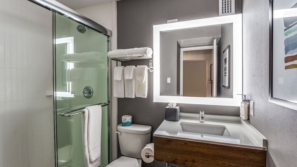 Staybridge Suites Dallas Market Ctr Love Field by IHG Studio Suite, 1 King Bed 6