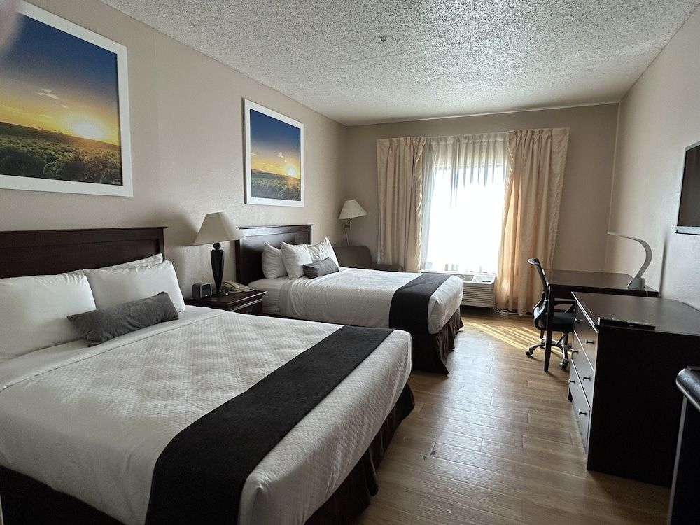 Basic Double Room