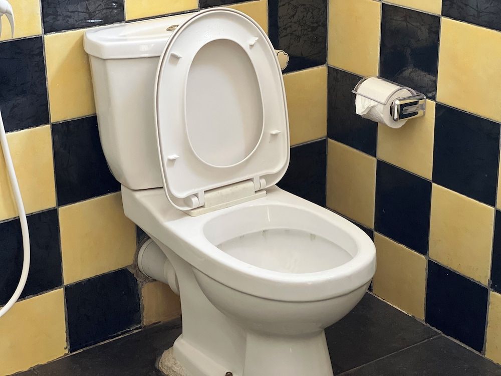 Ramlyn Guesthouse & Restaurant Economy Double Room 9