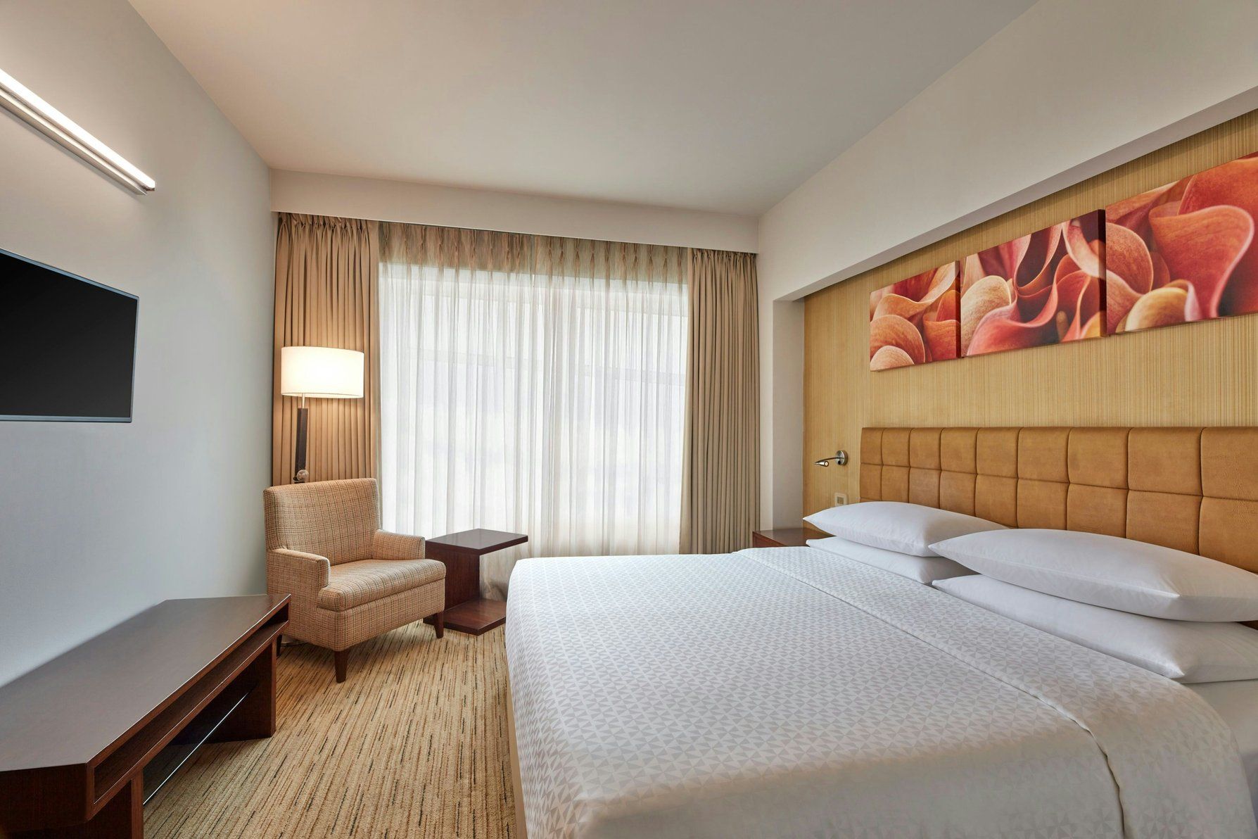 One King Bedroom Apartment - Large window