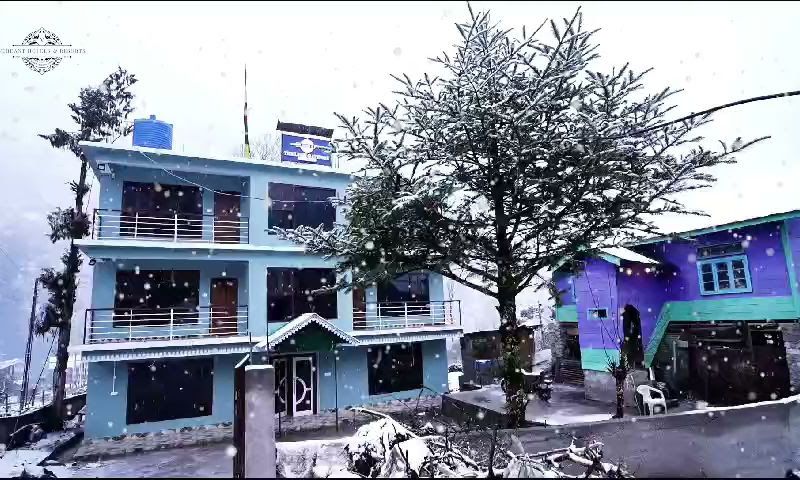 Verdant The Lush Gateway