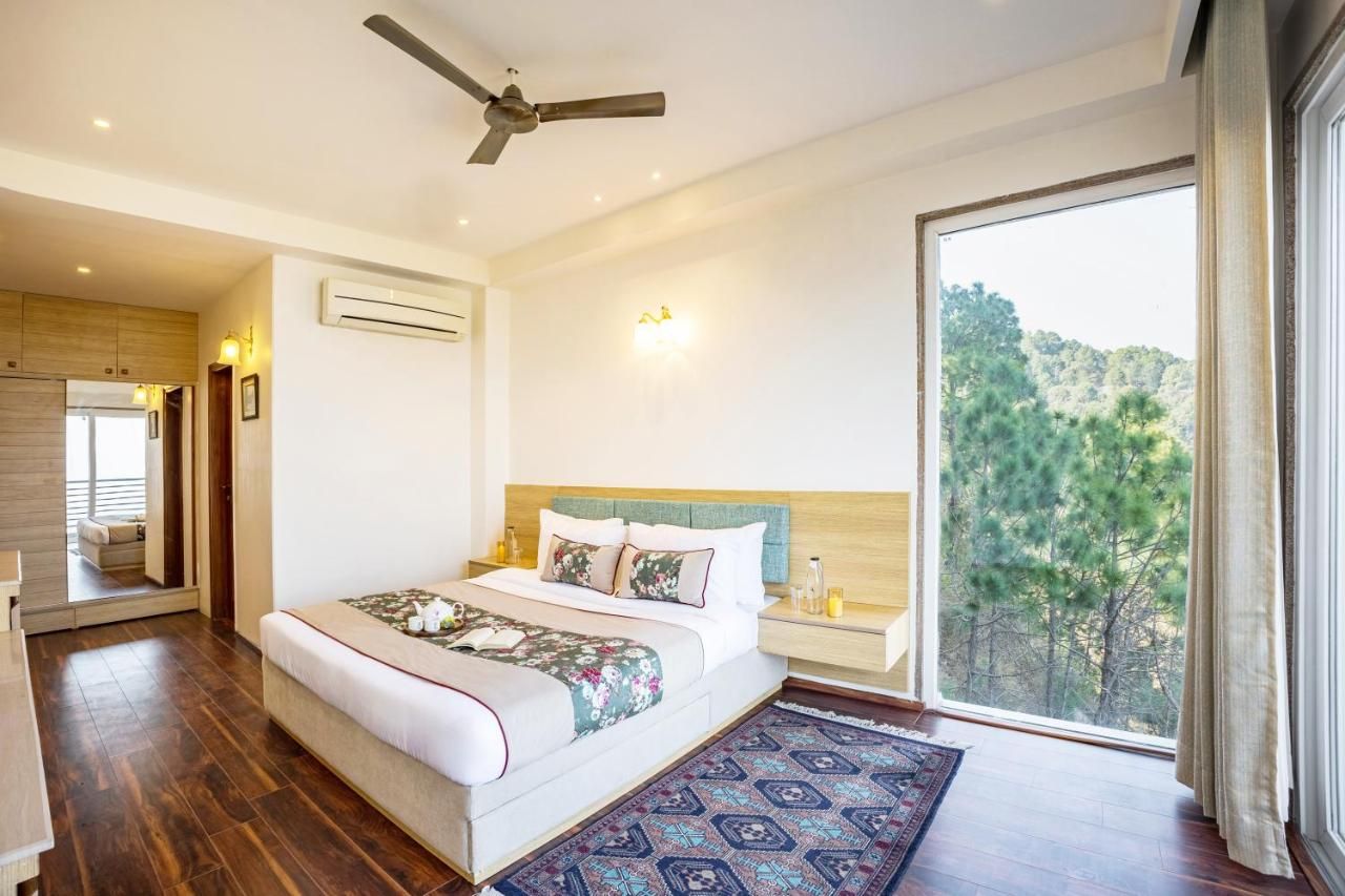 image_4595146_e1f2c9e2-cc71-4271-bf9b-a7bc7b72ef98