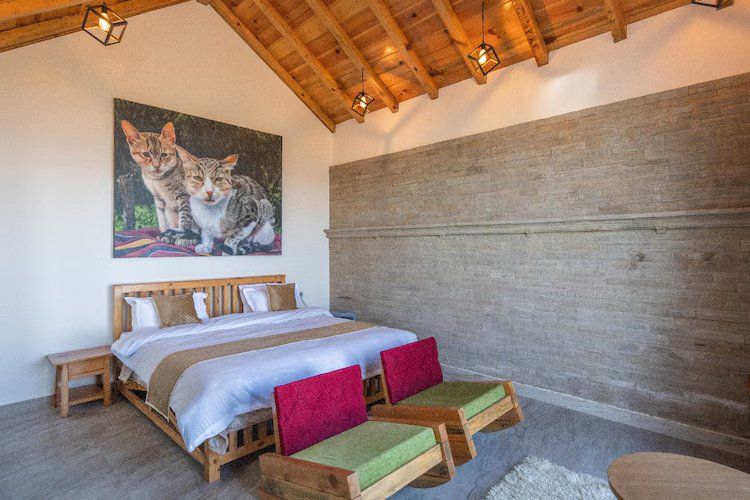 Himalayan Deluxe Mountain View Rooms with Balcony