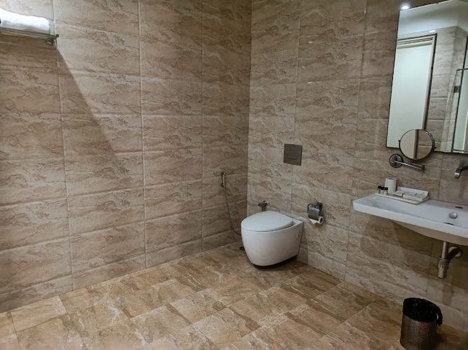 Hotel Aviral Palace Deluxe 4