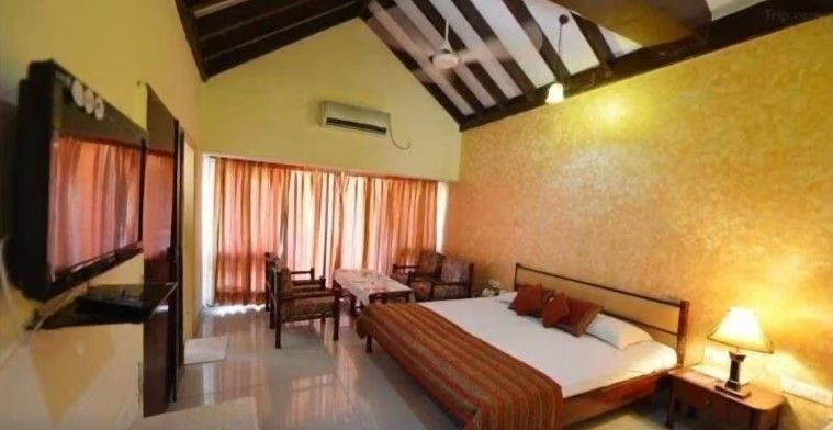 image_4597236_7cc551a0-61c9-4035-b2b9-fc922f7819da