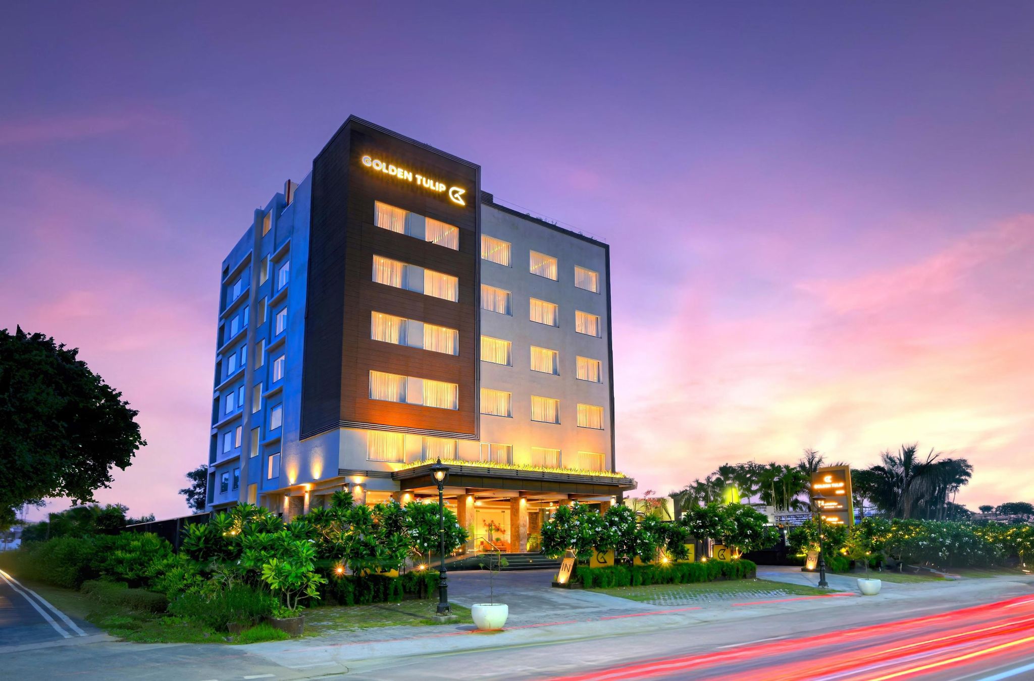 Golden Tulip