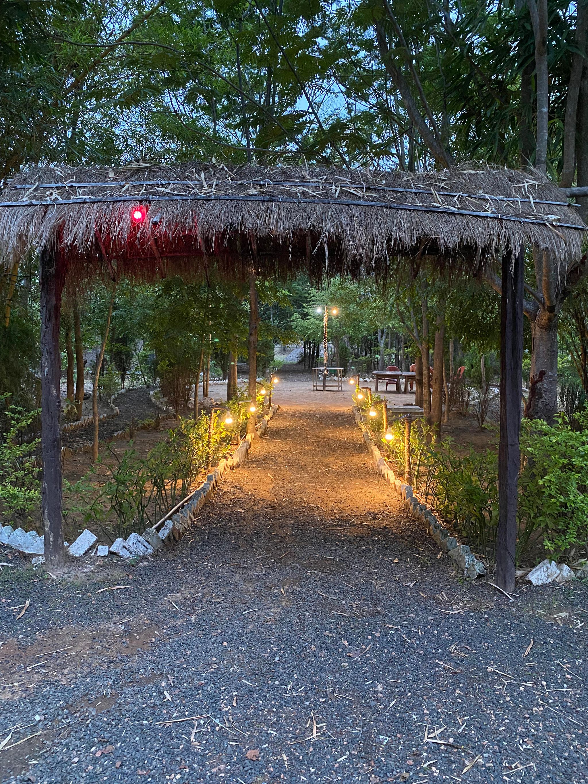 Sal Tree Resort By Vihasta