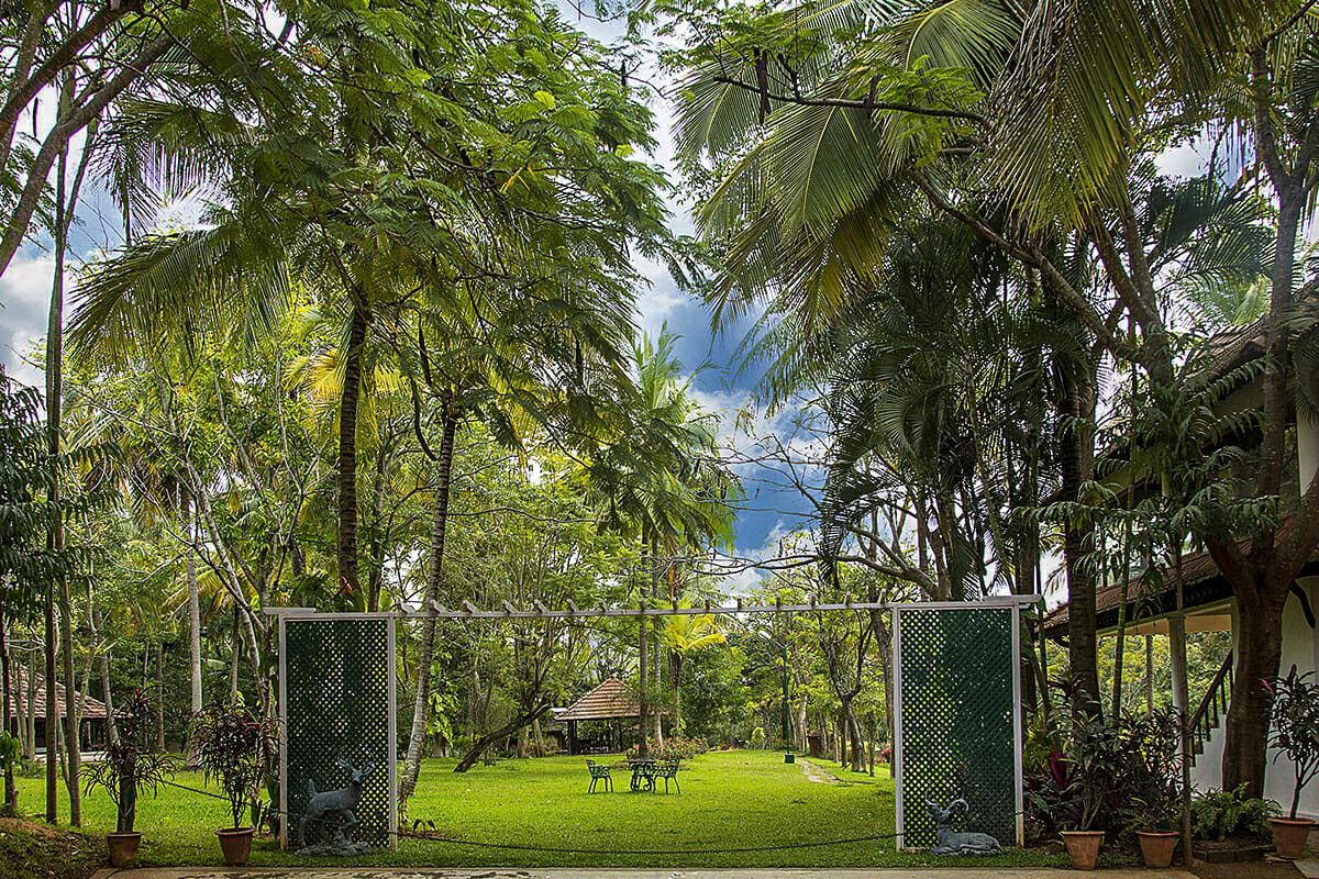 Big Banyan Vineyard & Resort