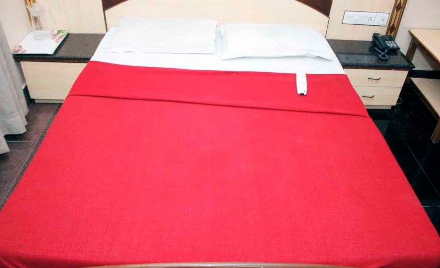 Hotel Sai Paradise Standard Non AC 2