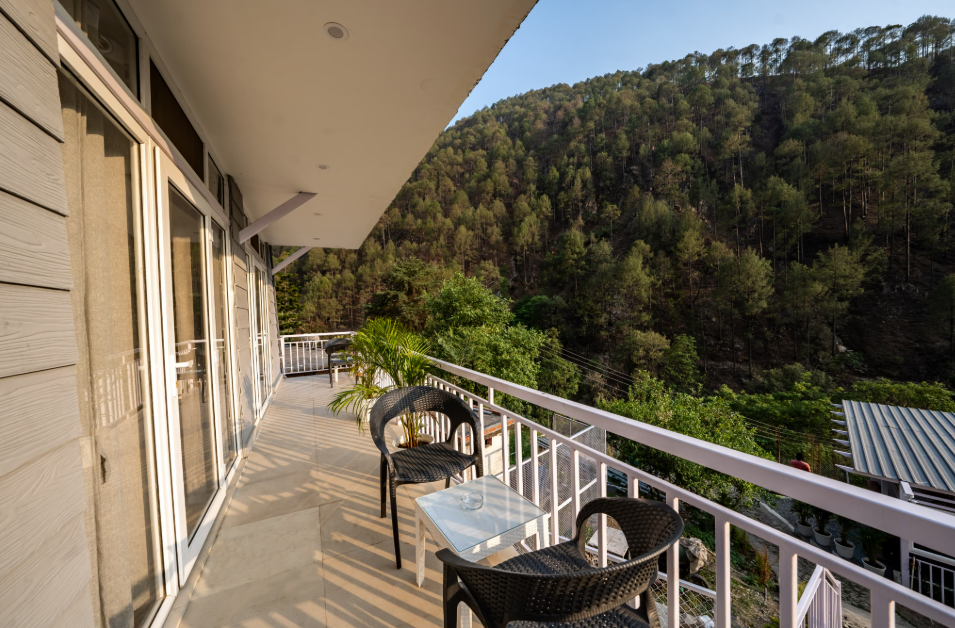 image_4597626_d84c76cc-7856-47bf-ae32-02ebc5f36e51