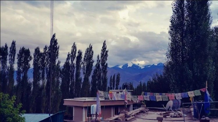 Zeepata Guest House