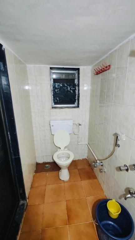 image_4598356_958cdabd-3afd-409d-a92c-b3f6b3069c5c