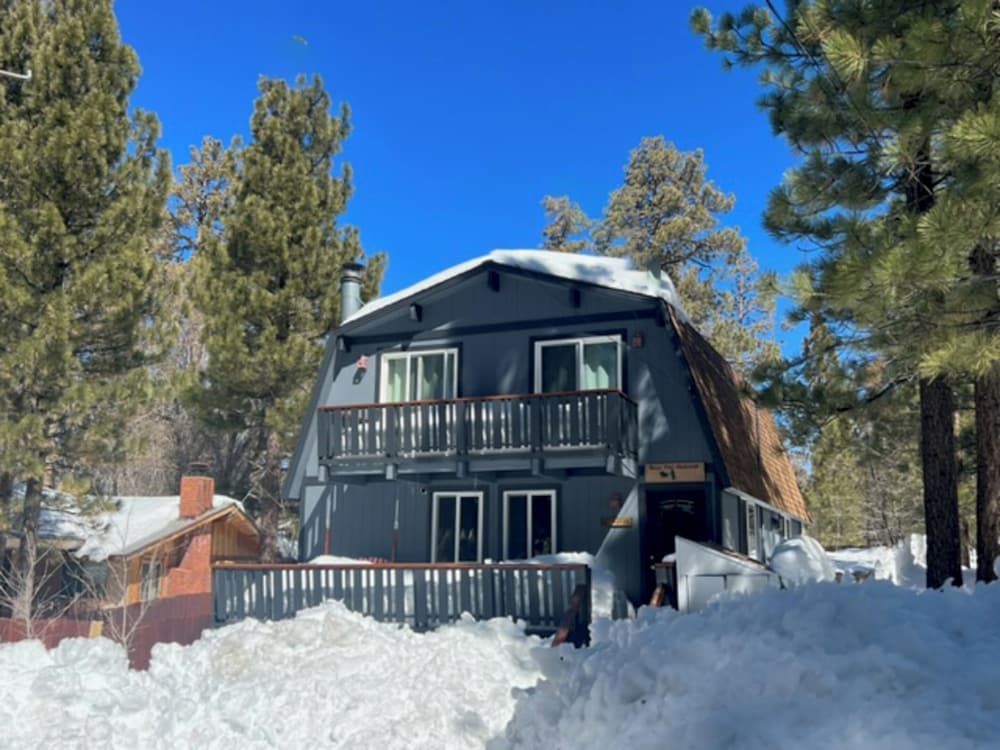 Bear PAC Hideout