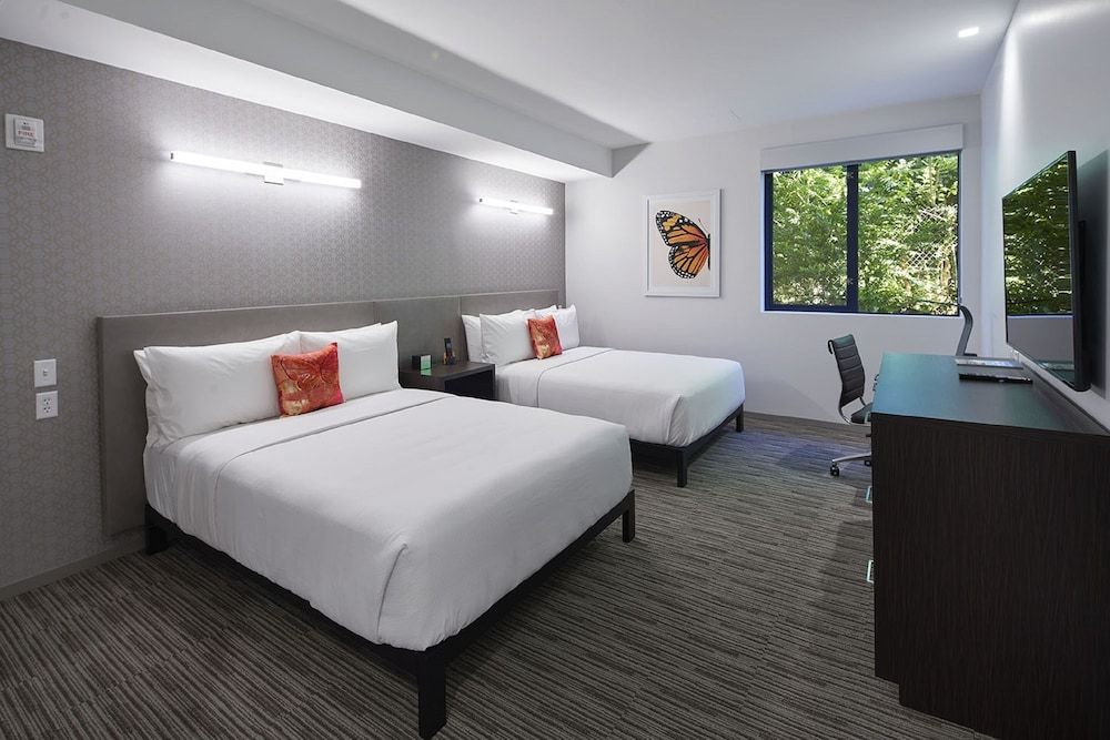 Premium Room, 2 Queen Beds