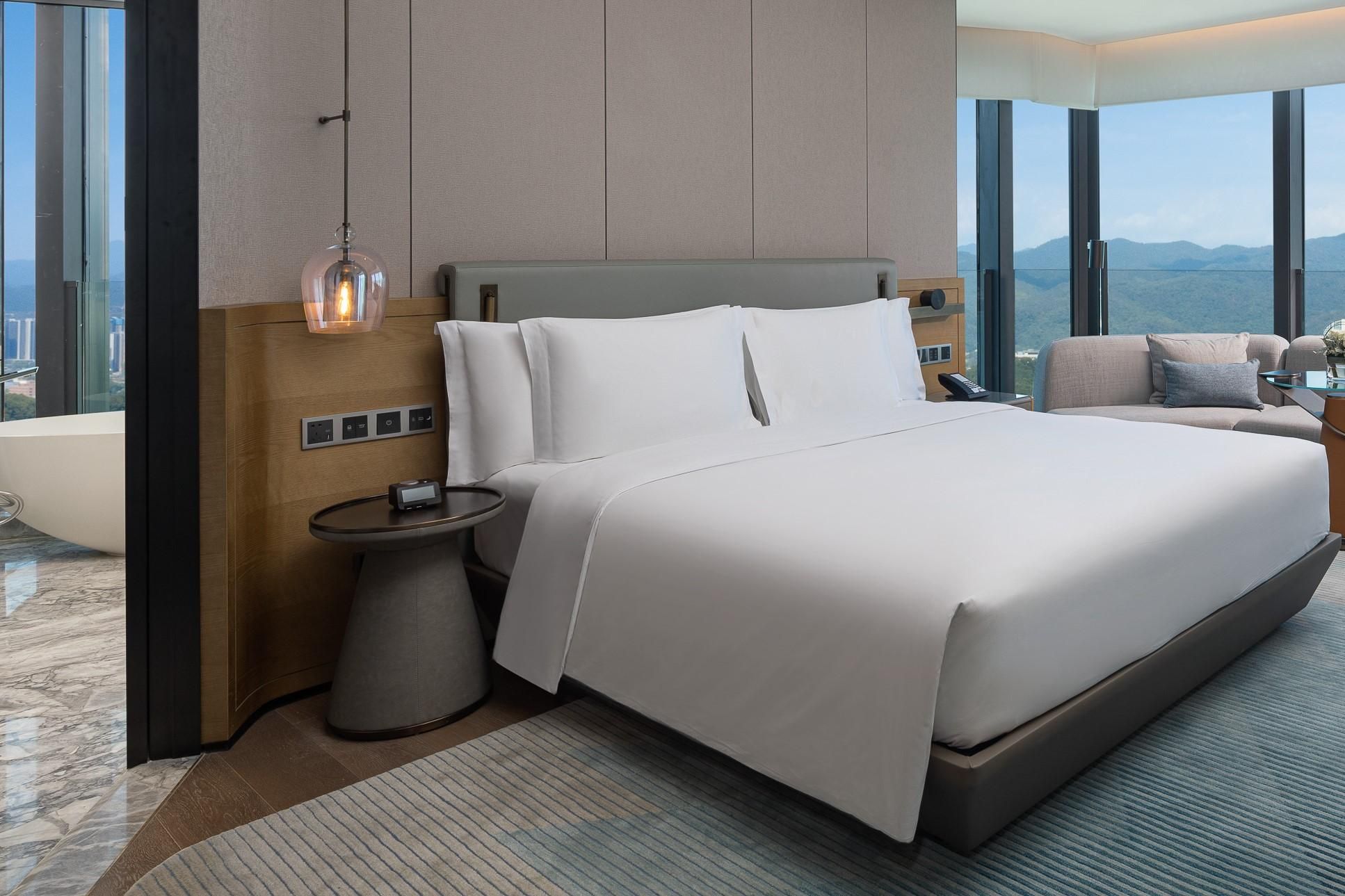 1 King Premium Mountain View