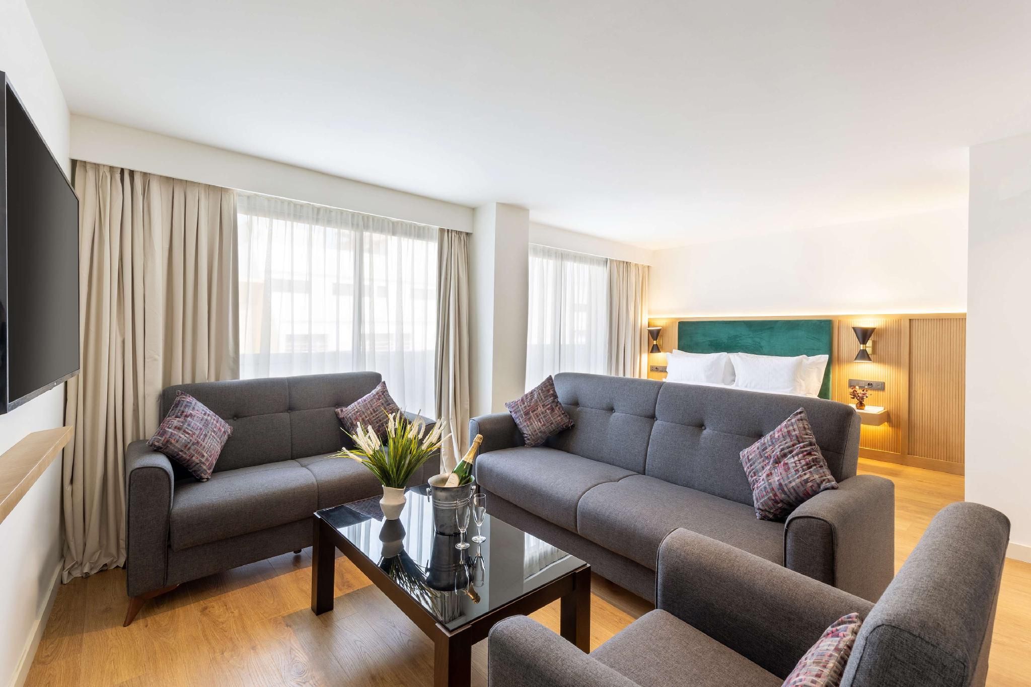 Suite - 1 King Bed, Nonsmoking, Sofabed