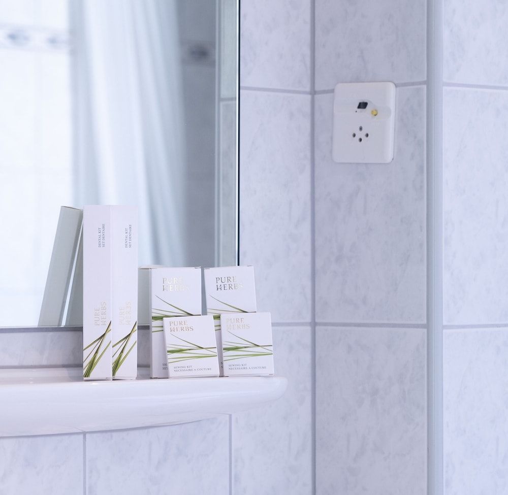 Hotel Royal Luzern Double Room 5