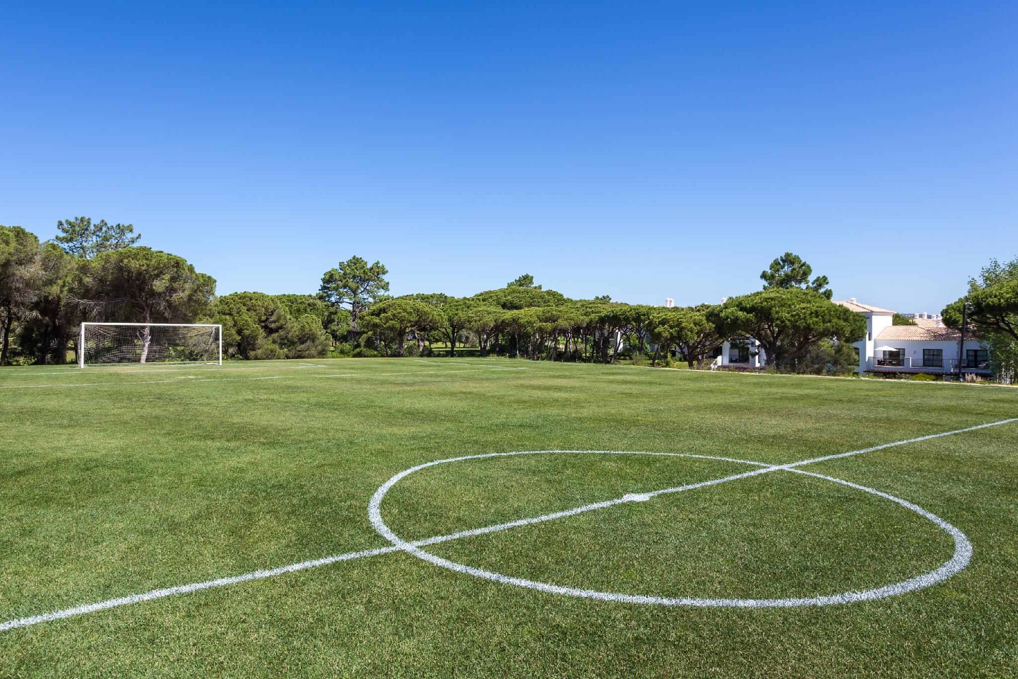 sports and activities