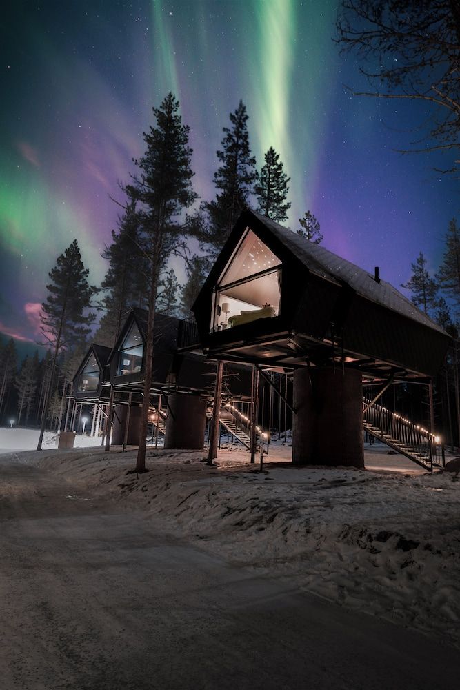 Aito Igloo & Spa Resort Aurora Treehouse 3