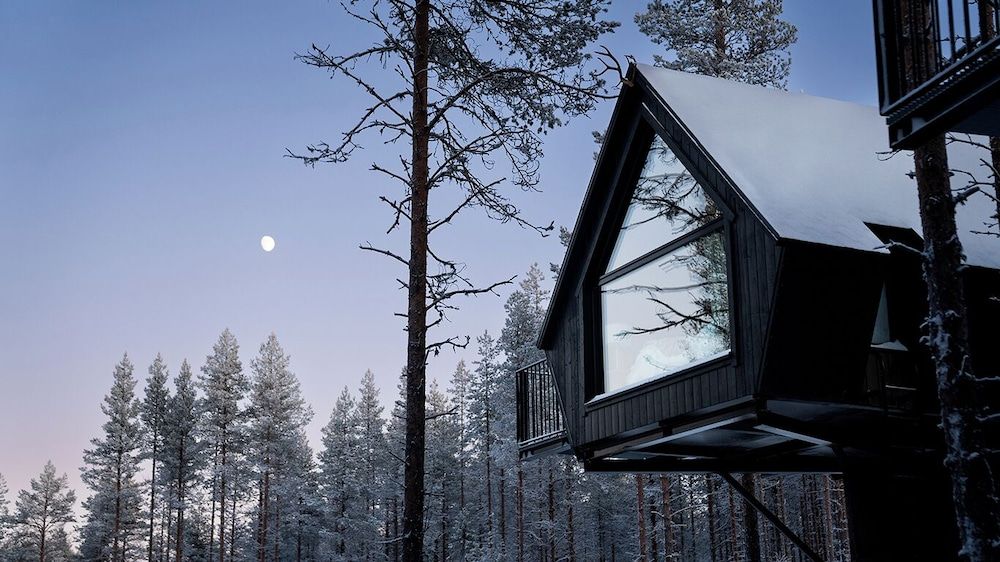 Aito Igloo & Spa Resort Aurora Treehouse 4