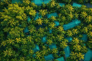 undefined Palm Grove Eco Resort