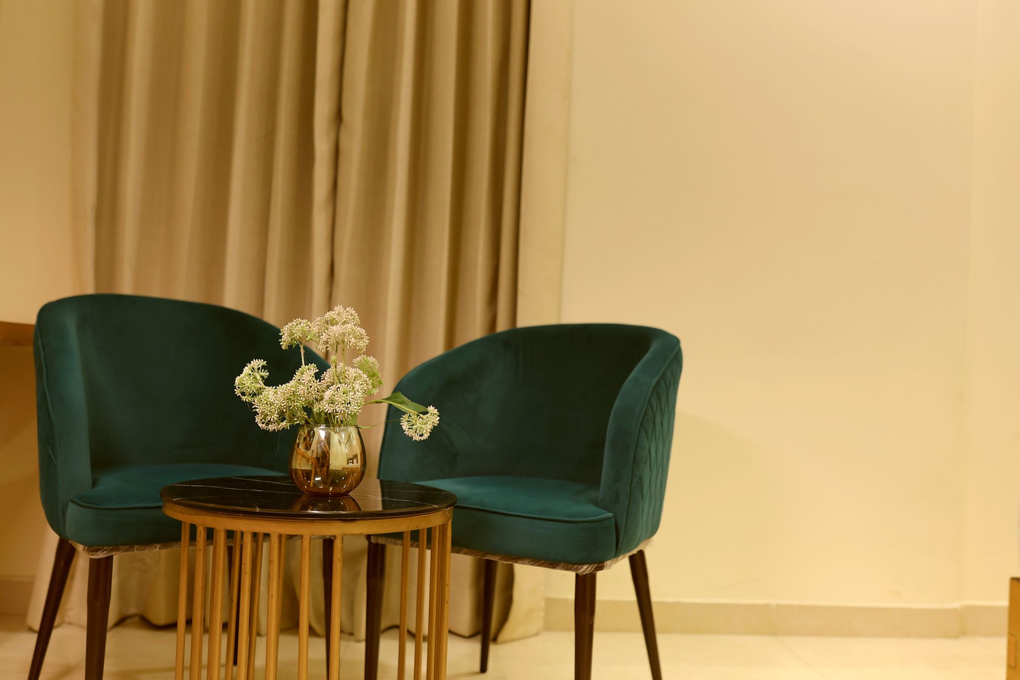 The Blue Vista Standard Double Rooms 16