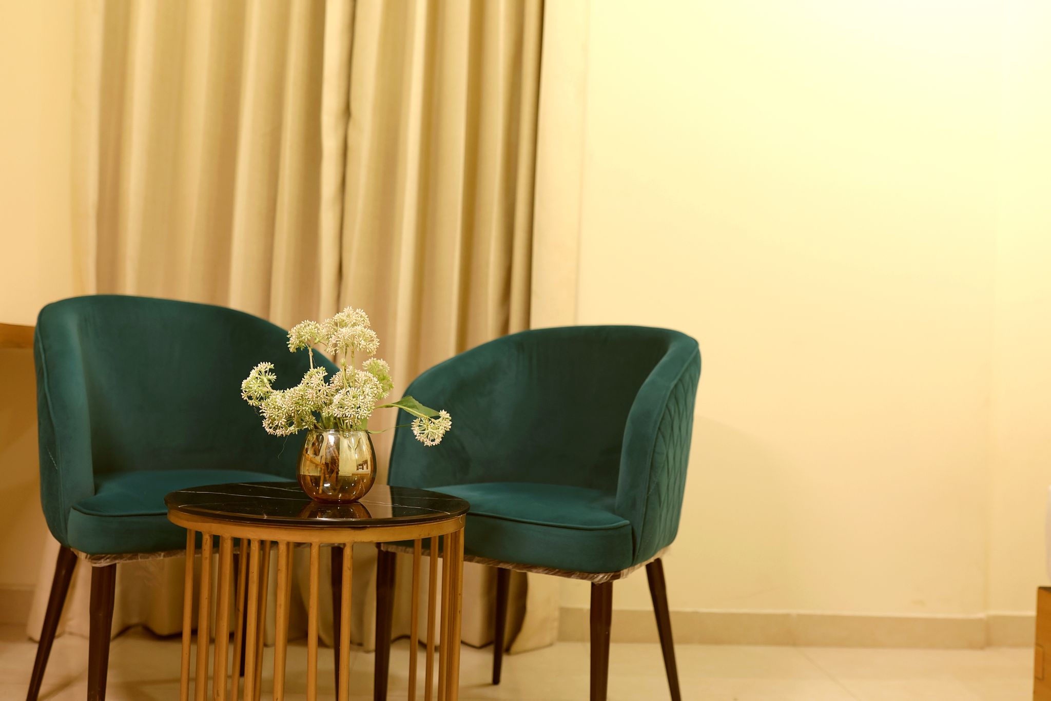 The Blue Vista Standard Double Rooms 19